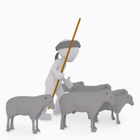 tiere und haustiere 1019