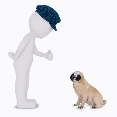 where can i find dog trainers near me