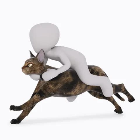 tiere und haustiere 1245