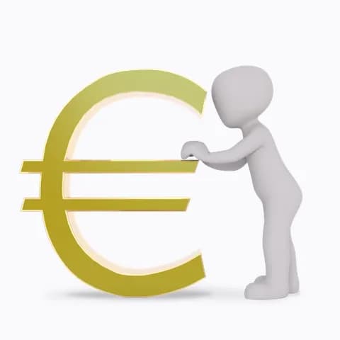 bet on the euro