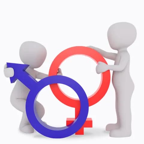 masculine blue and feminine red