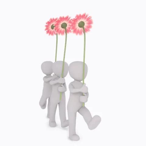 a nice flower with margarita flower