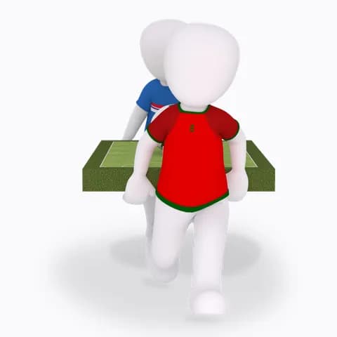 transporting the football field mini soc