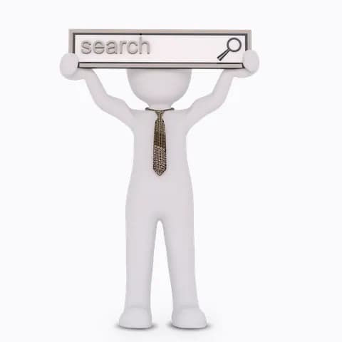 search in the www
